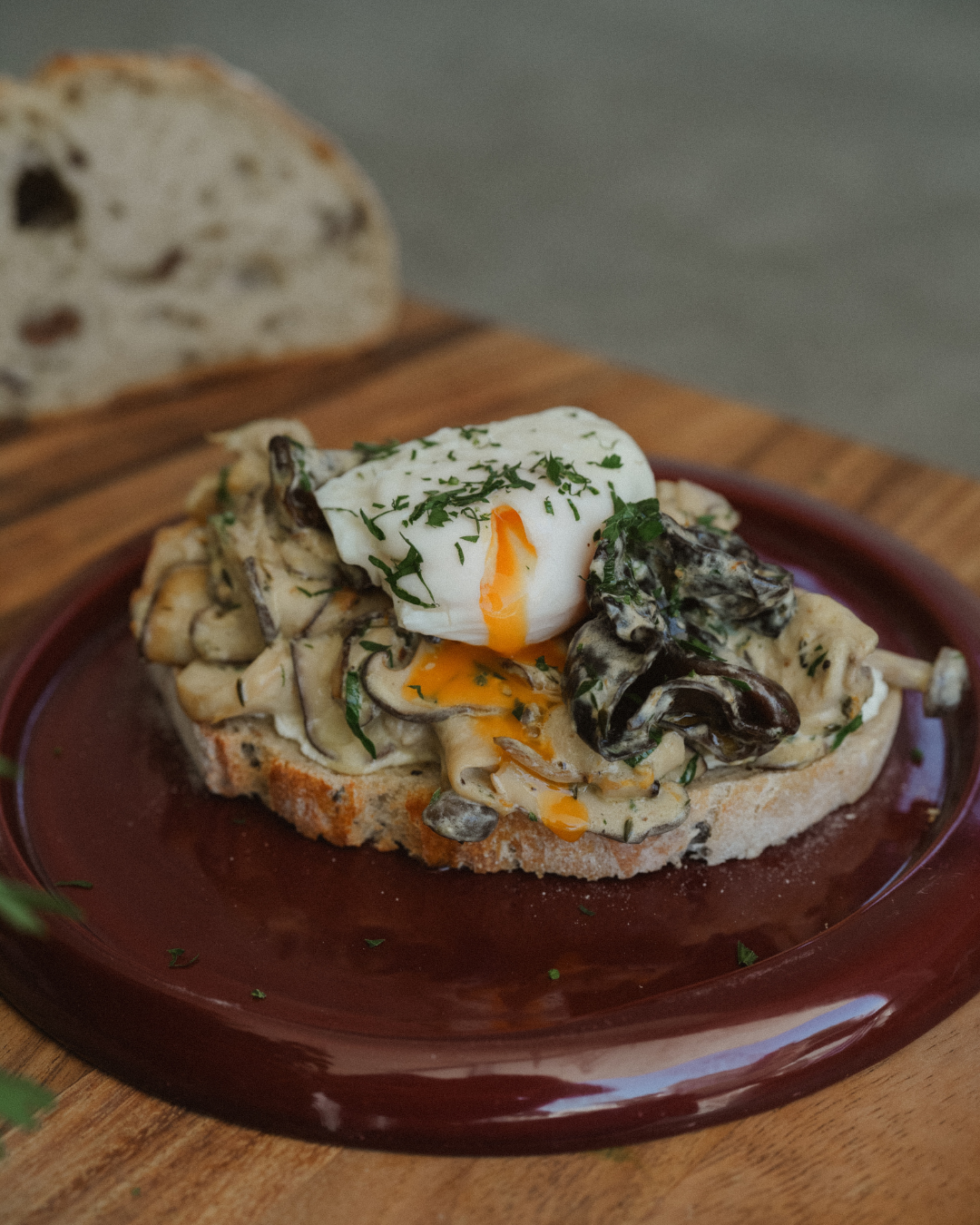 Gourmet mushroom breakfast with goat cheese and poached egg on a plate