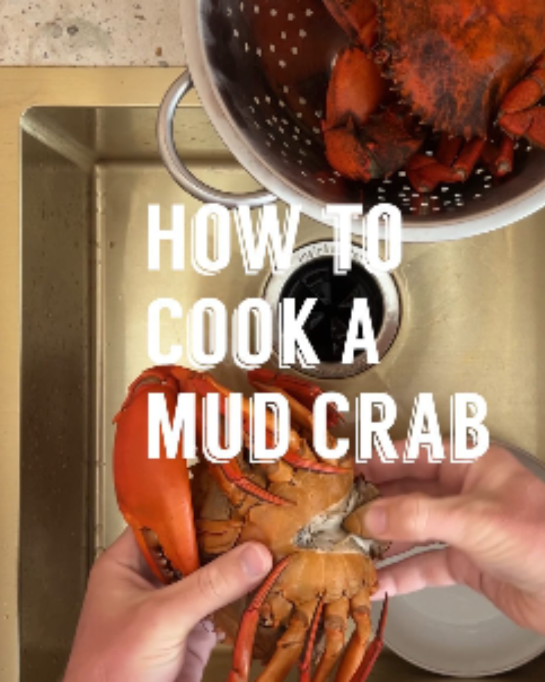 How to cook and clean a mud crab, step-by-step guide